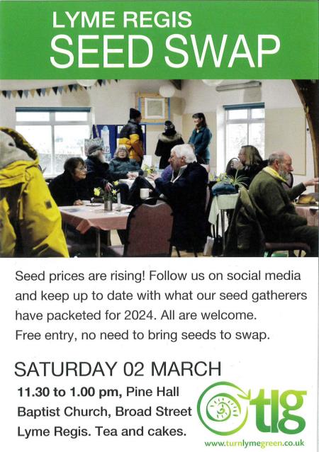 Lyme Regis Seed Swap